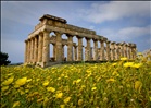 Sicily Selinunte Temple (creative commons wallpaper)